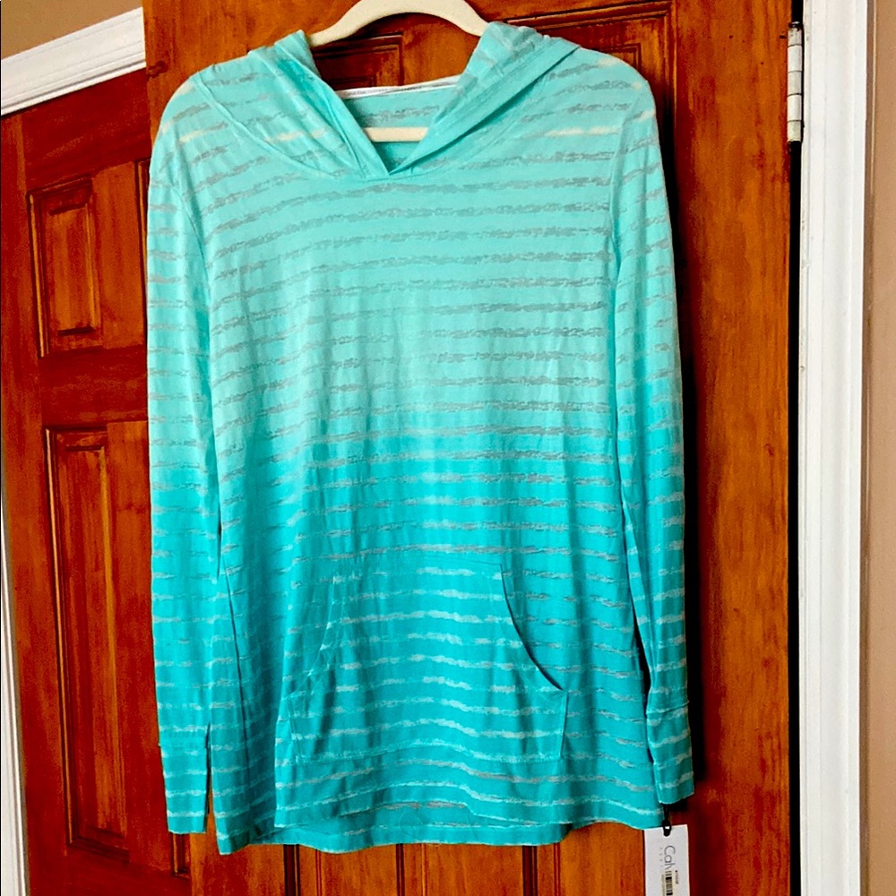 Striped Aqua Hooded Top
